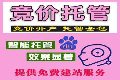 百度SEO推广公司案例精选：助力企业快速崛起